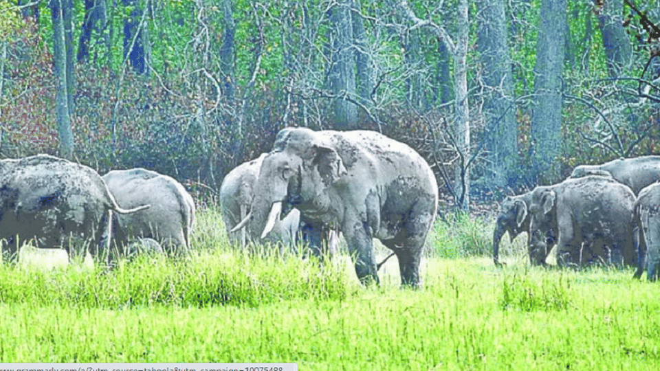 Eco tourism spot will be developed with two crore rupees in Mohammadi range of Lakhimpur Kheri