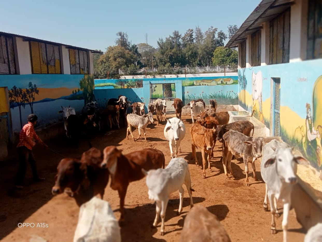one gaushala in every block DM gave instructions to find land