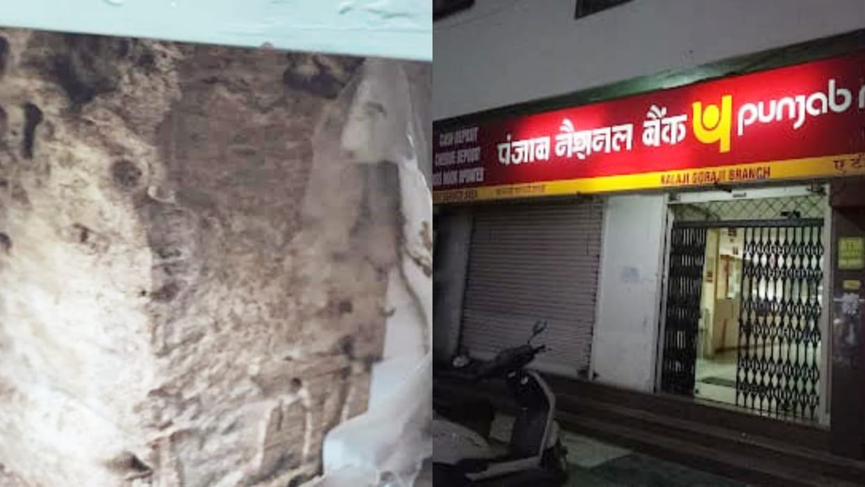 Udaipur Termites licked notes and property papers kept in PNB locker