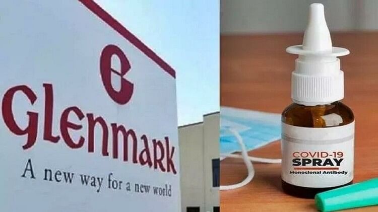 glenmark-nasal-spray-is-not-effective-government-expert-committee-raised-questions-amar-ujala