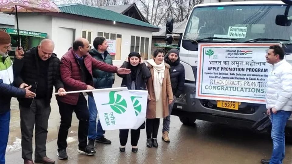 Agriculture Department Kashmir sent another consignment of vegetables to Saudi Arabia