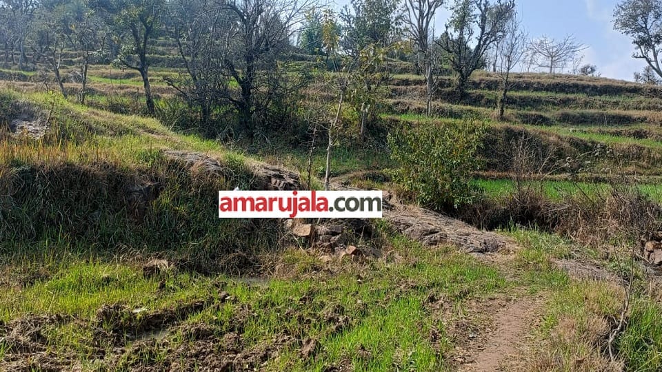 DC Reasi, Lithium block will be auctioned soon approved, investigation was going five years