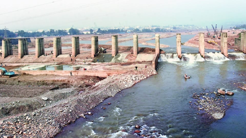Jammu Kashmir: Tawi river started getting polluted, aquatic animals and animals in danger