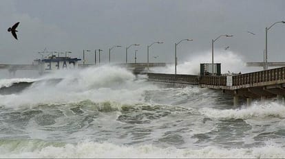 सांकेतिक तस्वीर।