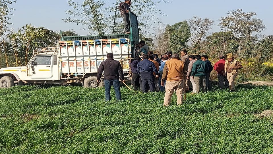 Forest department teams rescue leopard in Bareilly