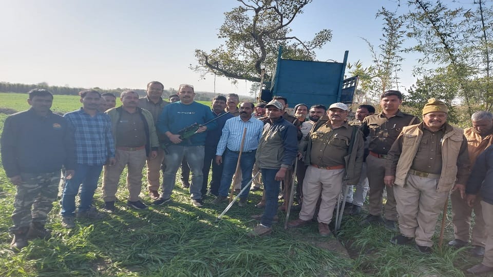Forest department teams rescue leopard in Bareilly
