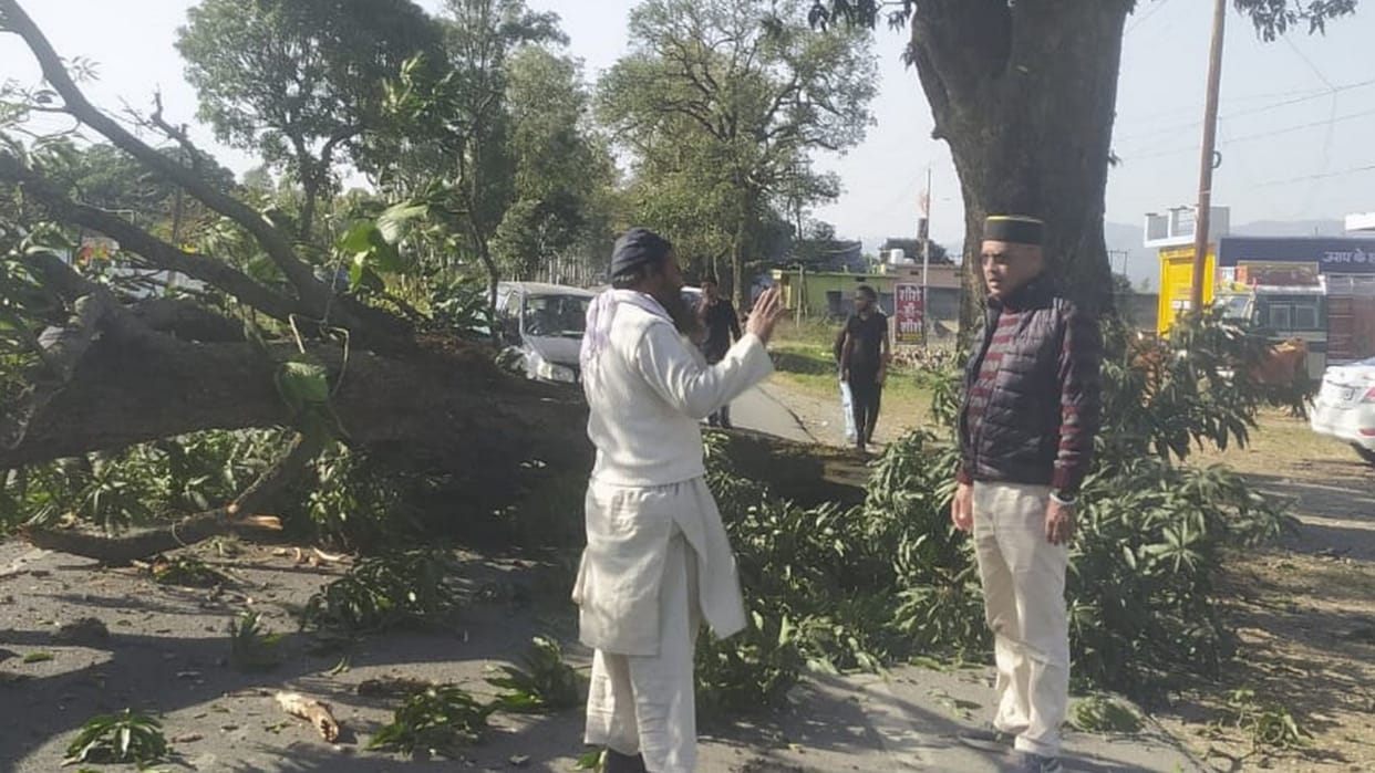 Lahaul Spiti News: Tree falls on Congress MLA Ravi Thakur car