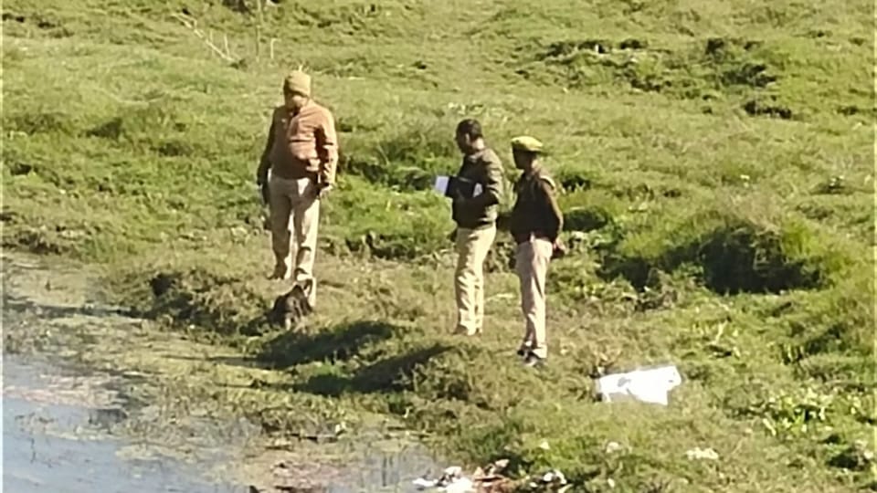 cattle remains found on the second day in Bithari area Bareilly