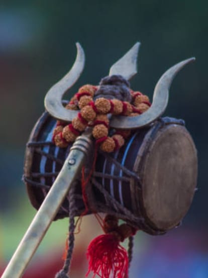 Rudraksha