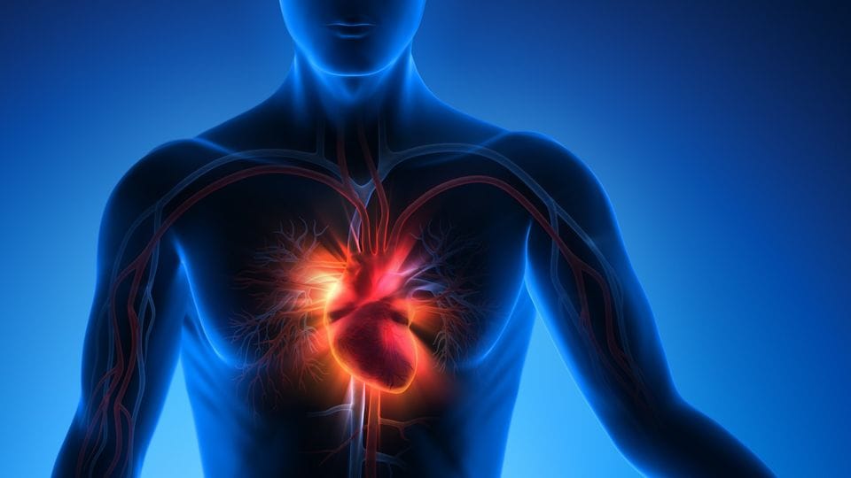 indore health survey report heart disease