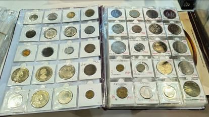 अमृतपेक्स...