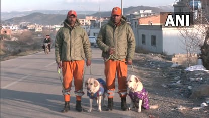 turkey earthquake romeo julie sniffer dogs save six year old girl from debris home minister praise ndrf
