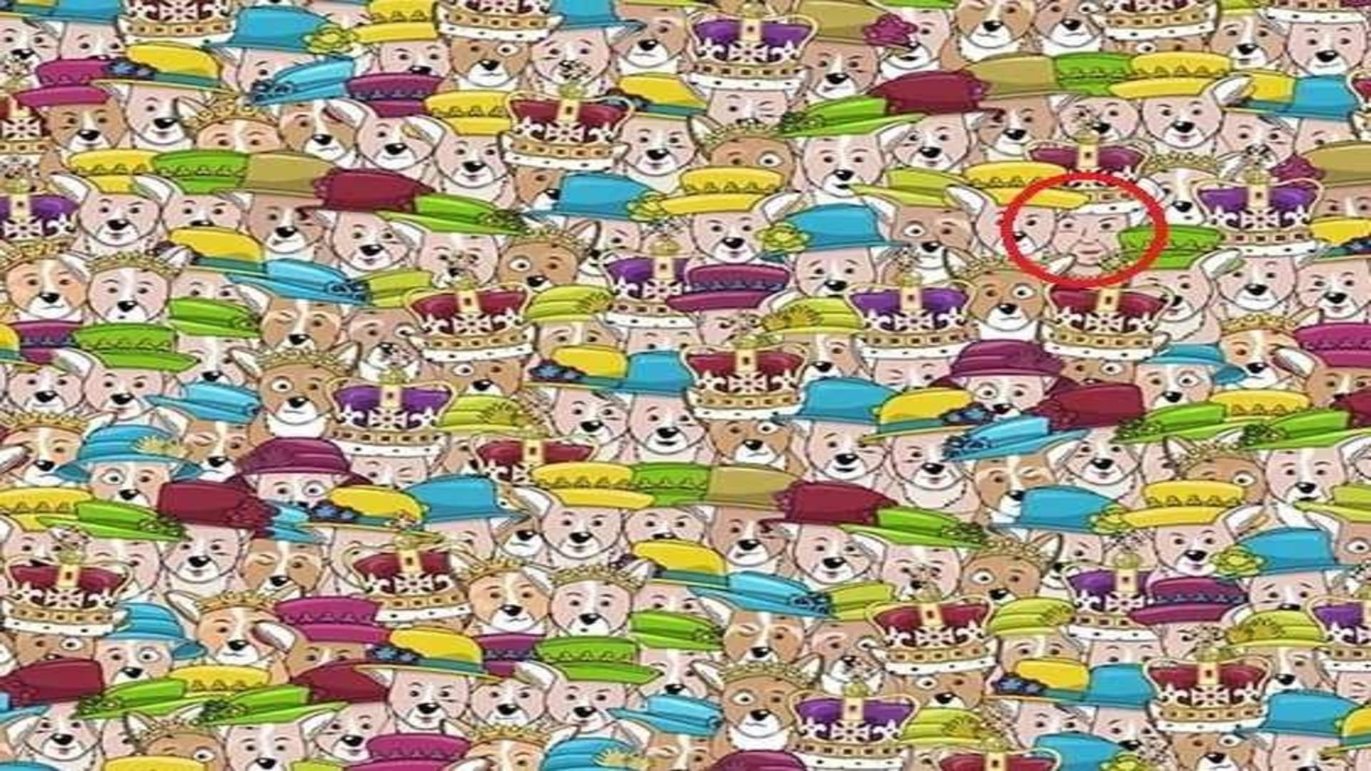 Optical Illusion for IQ Test: Can you spot the Queen hiding among the Dogs in 21 Secs? Check Your Brain Iq