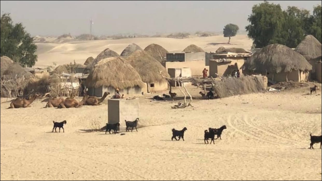 Save The Deserts conservation of Desert Ecosystems important for geography and human life