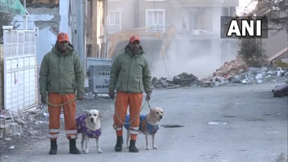 turkey earthquake romeo julie sniffer dogs save six year old girl from debris home minister praise ndrf