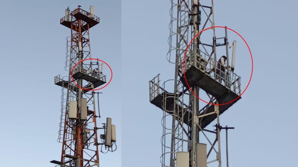 Uttarkashi News: Congress city president Climbed on Bsnl Mobile Tower and Give warning to Suicide