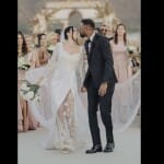 Hardik Pandya, Natasa Stankovic, share, official wedding, pictures, from, Udaipur, Watch, Hardik Nat