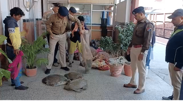 500 turtles recovered from North East Express, 14 women arrested