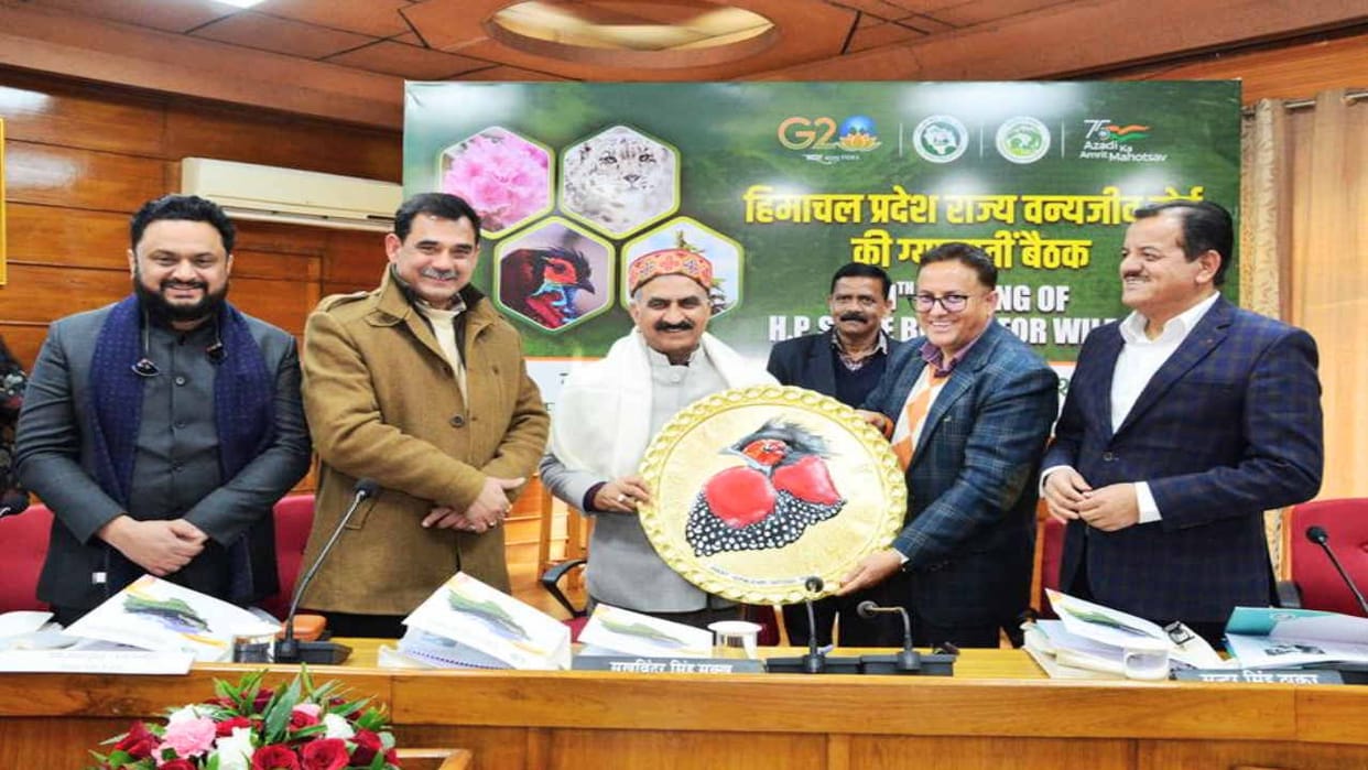 CM Sukhu instructed forest officials to expedite the cases of forest clearances