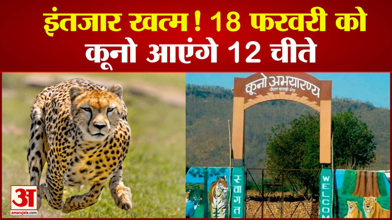 कूनो नेशनल पार्क