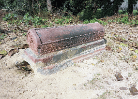 Here parrot-myna's grave testifies to love