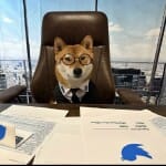 Twitter NEW CEO