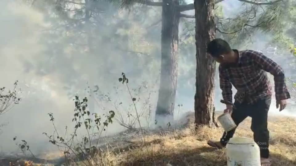 Uttarakhand Forest Fire Spread Near Premises of Almora School Students Panic