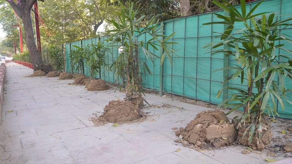 Pots were stolen walls were painted red with betel leaves after G-20