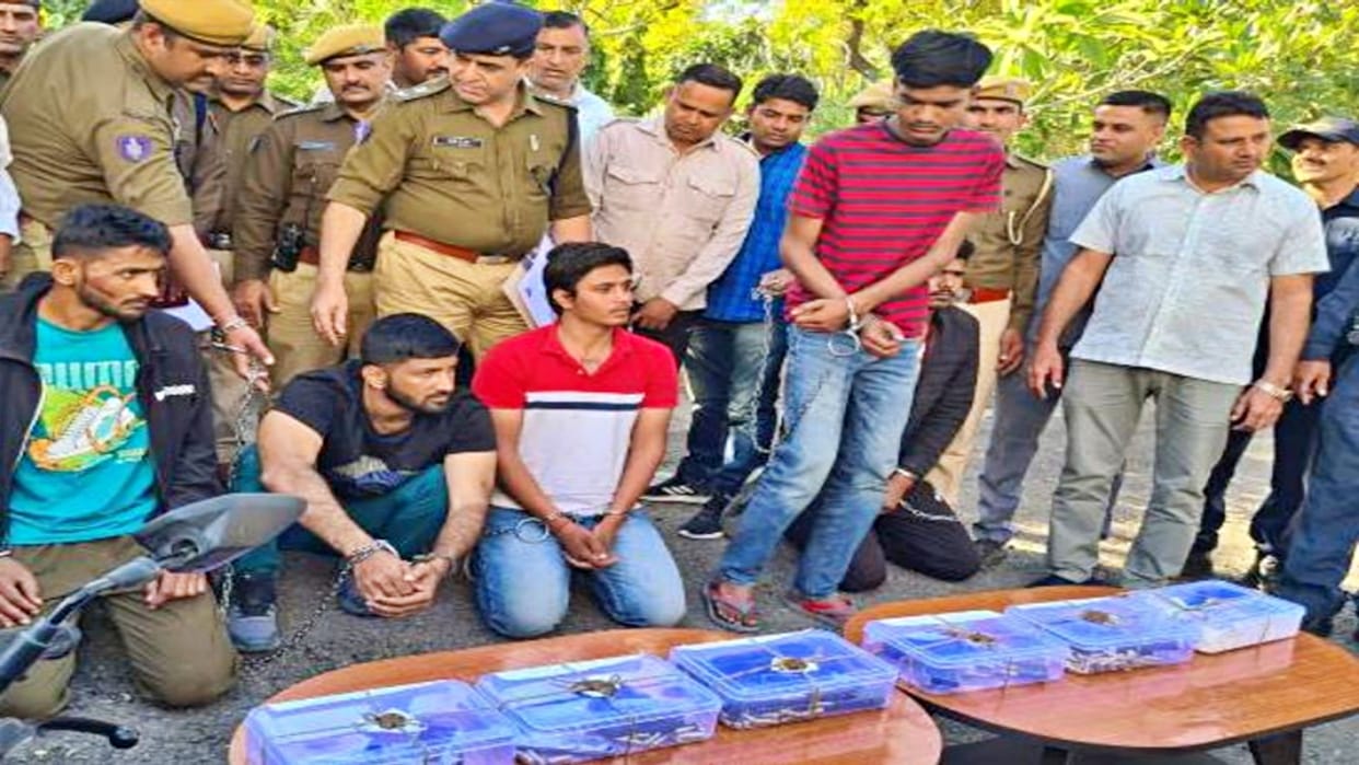 Crime Jodhpur infamous gangster Umaid Singh arrested along with five miscreants