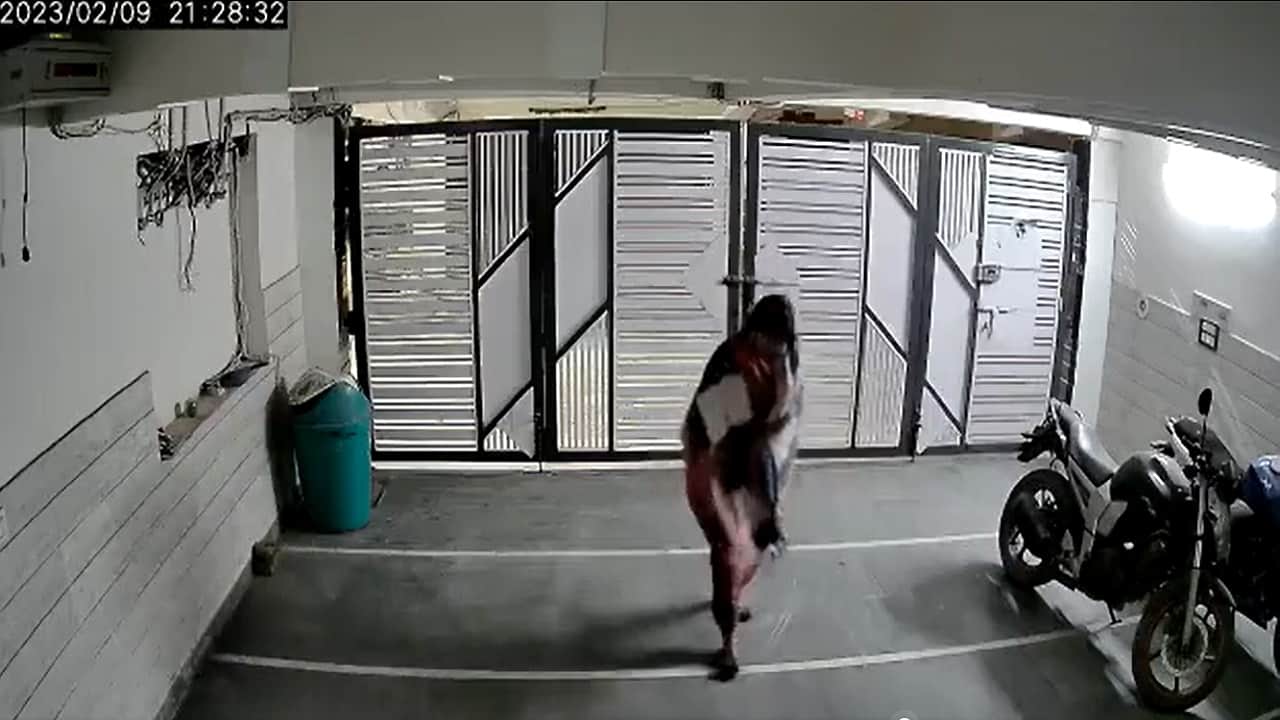 Nikki Yadav Murder Case: Last Video of Nikki Surfaced Before Murder She Seen Climbing Stairs