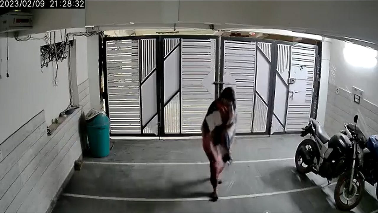 Nikki Yadav Murder Case: Last Video of Nikki Surfaced Before Murder She Seen Climbing Stairs