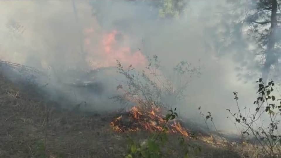 Uttarakhand Forest Fire Spread Near Premises of Almora School Students Panic