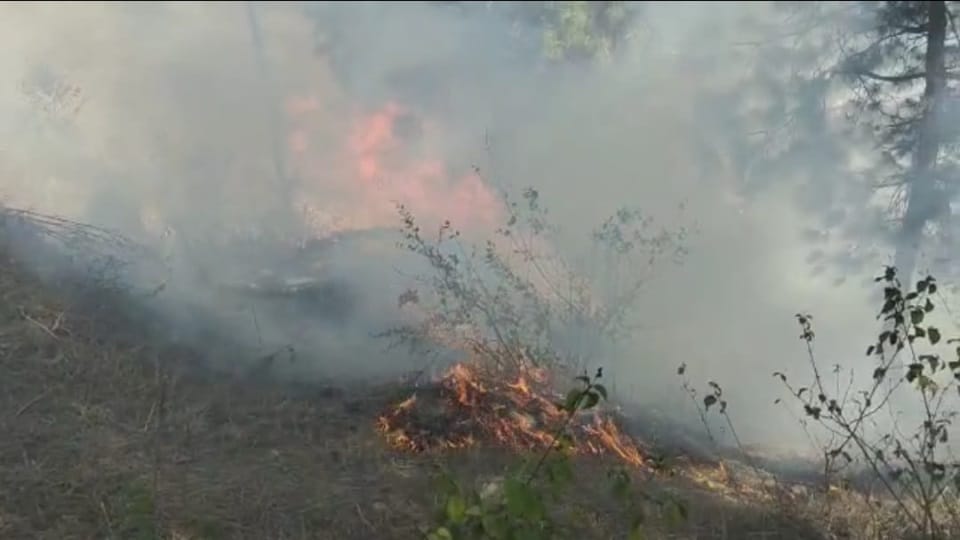 Uttarakhand Forest Fire Spread Near Premises of Almora School Students Panic