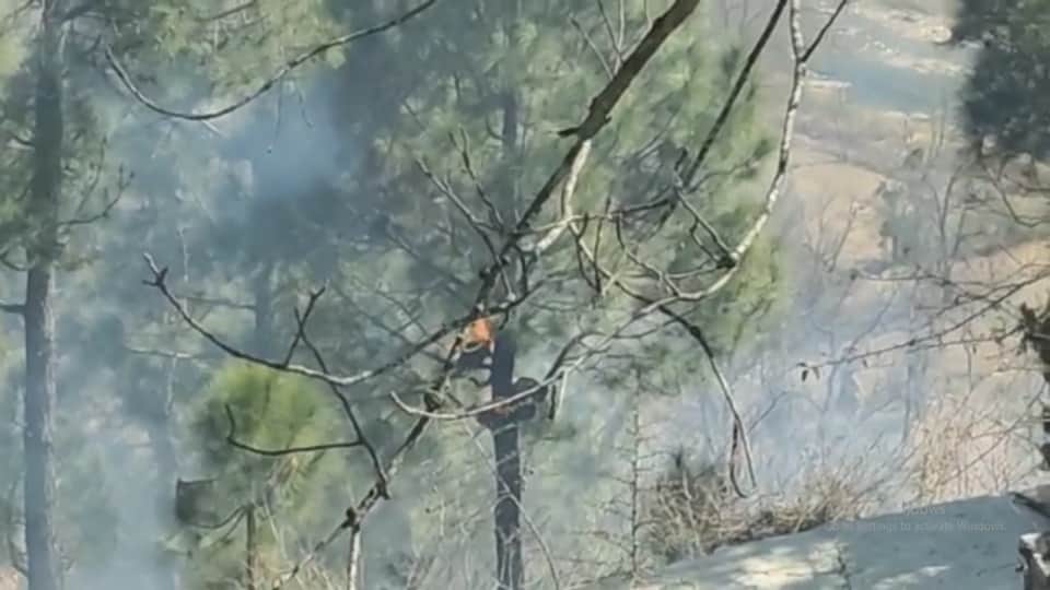 Uttarakhand Forest Fire Spread Near Premises of Almora School Students Panic