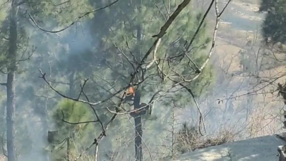 Uttarakhand Forest Fire Spread Near Premises of Almora School Students Panic