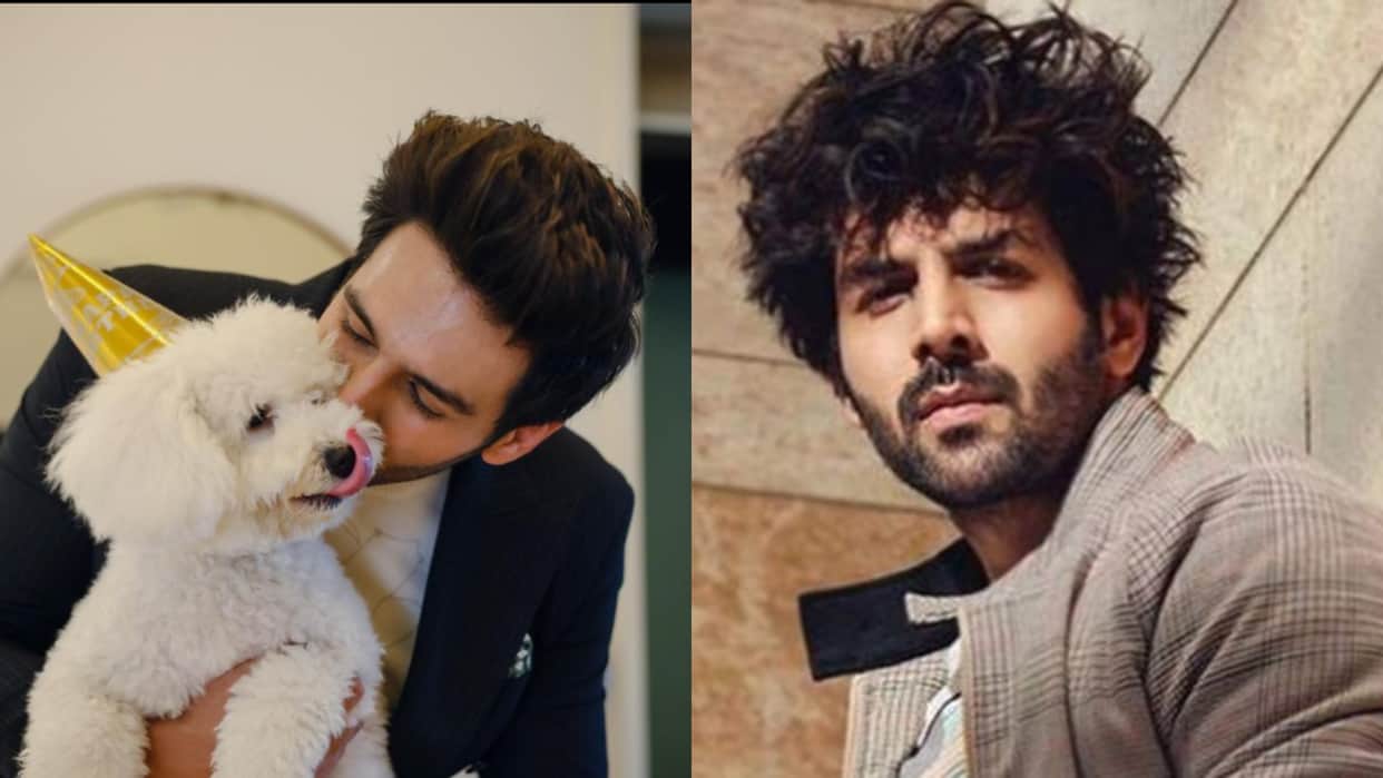 Shehzada Actor Kartik Aaryan Talk About life Partner Said Dog Katori Love him unconditional want wife like her