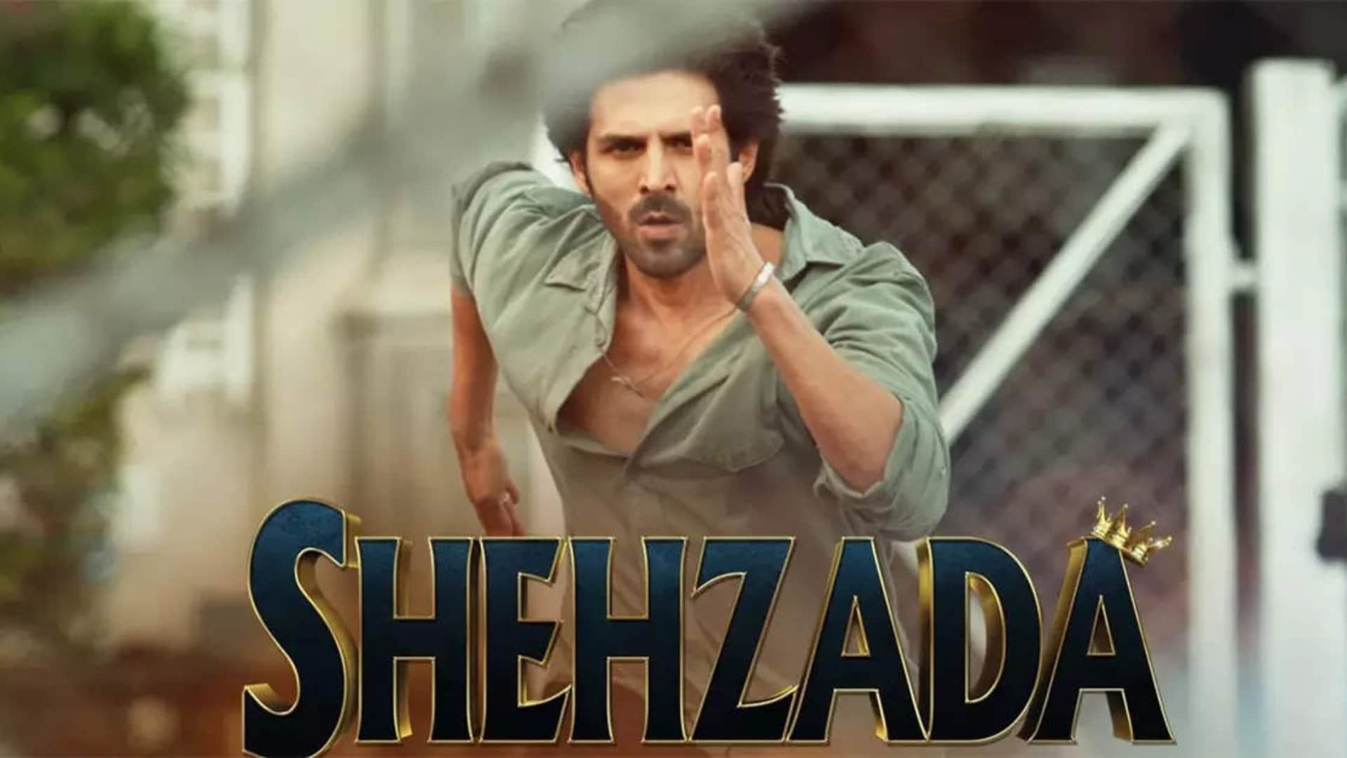 Shehzada Actor Kartik Aaryan Talk About life Partner Said Dog Katori Love him unconditional want wife like her