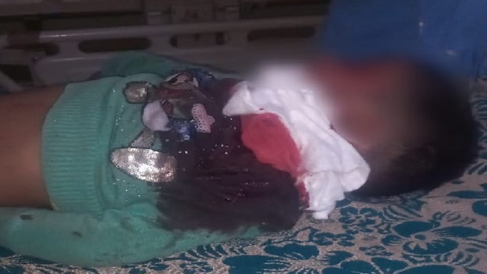 Neighbor maternal uncle tried to rape by stabbing innocent In Panipat