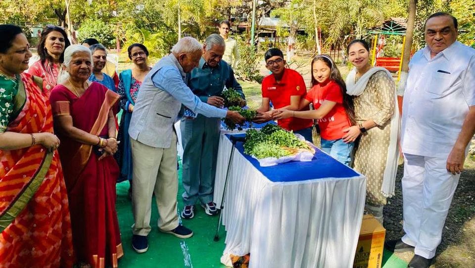 green vegetables benefits fitness tips indore health survey naturopathy