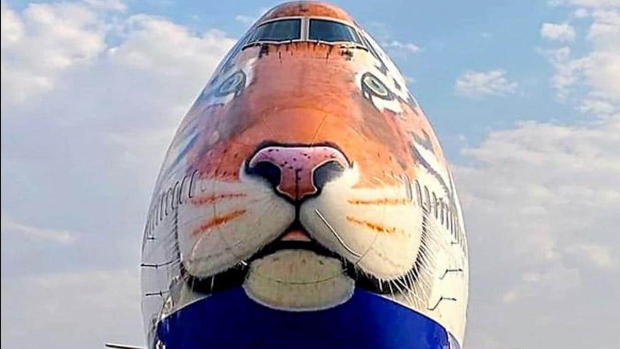 Project Cheetah: Special aircraft carrying 12 cheetahs takes off, will reach on Shivratri