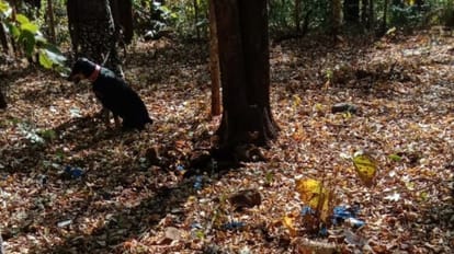 जवानों की जान बचाने कुत्ते ने दे दी जान।