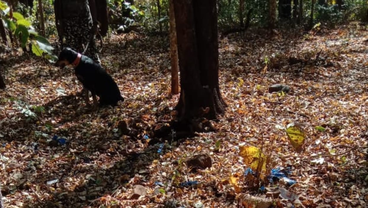 dog saved life of itbp jawans from pressure ied in chhattisgarh narayanpur