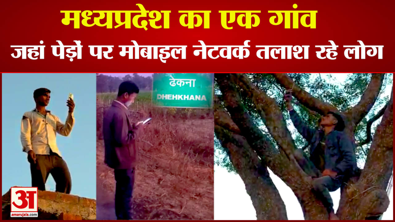 ढेकना में पेड़ों पर नेटवर्क तलाश रहे लोग
