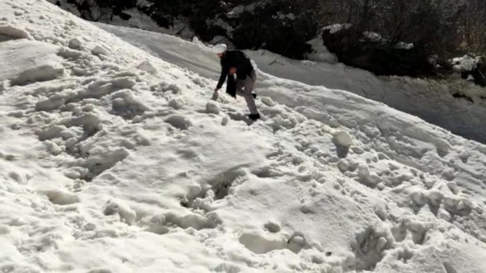 Uttarakhand Weather Snowfall News: Big Iceberg and Heavy Snow in Hemkund Sahib Photos