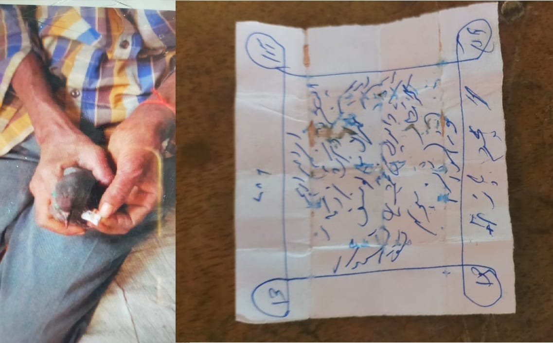 Pigeon reached farmers house in Kanpur with blood stained letter, Seven lines were written in Urdu