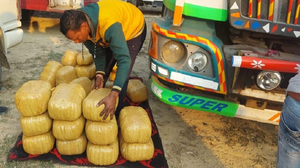 Two smugglers arrested with 1.25 quintals ganja