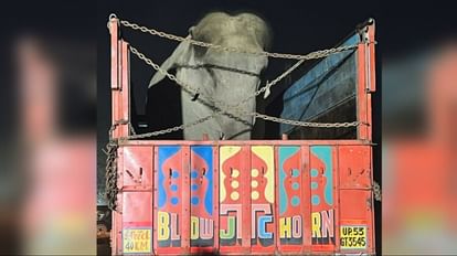Gorakhpur News: कातिल हाथी को पहुंचाया गया विनोद वन, कलशयात्रा में तीन लोगों की कुचल कर ले ली थी जान गोरखपुर में हाथी का तांडव।
