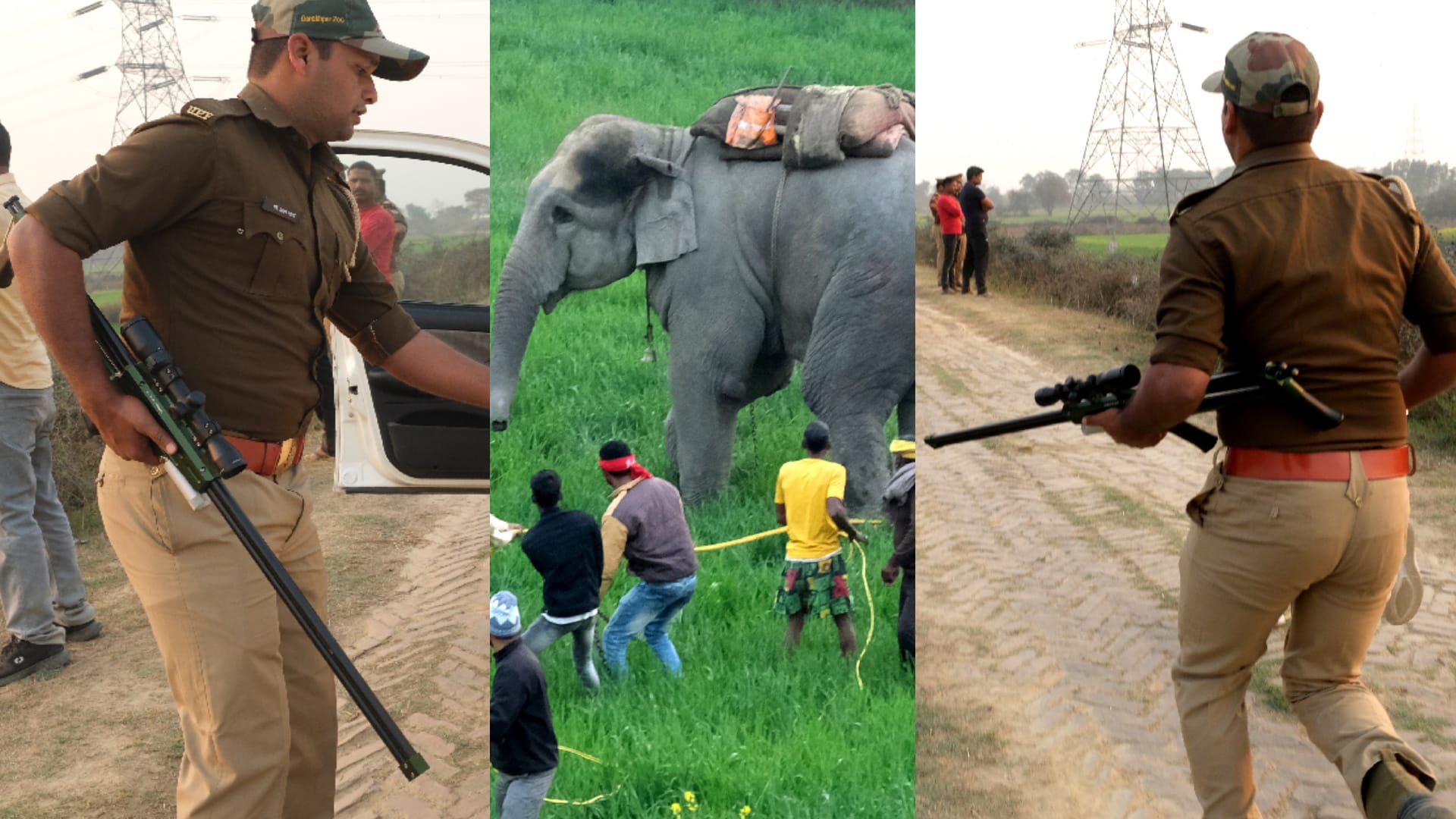 forest department not even know people keeping elephants