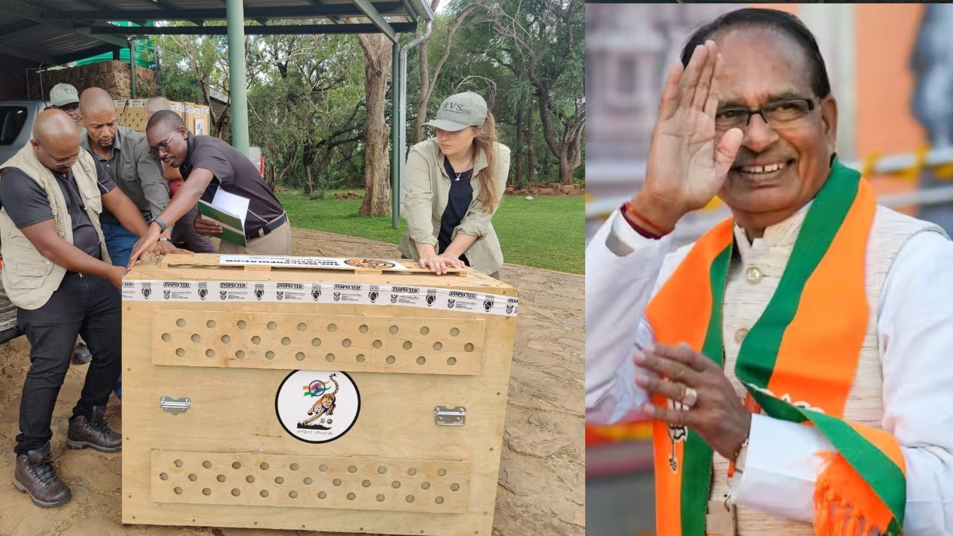 MP News: CM Shivraj will release 12 more cheetahs in Kuno tomorrow, preparations completed in Kuno National Pa
