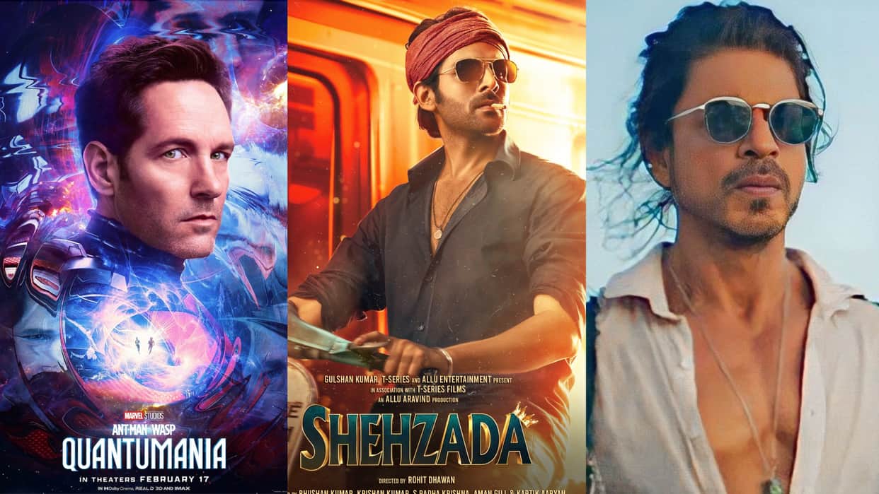 Box Office Report shahrukh Khan Pathaan Shehzada akshay kumar selfiee ant man the the Wasp  Quantumania